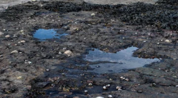 تقنية مذهلة.. ابتكار جديد بالذكاء الاصطناعي لكشف آثار أقدام الديناصورات النادرة بأحدث الوسائل العلمية